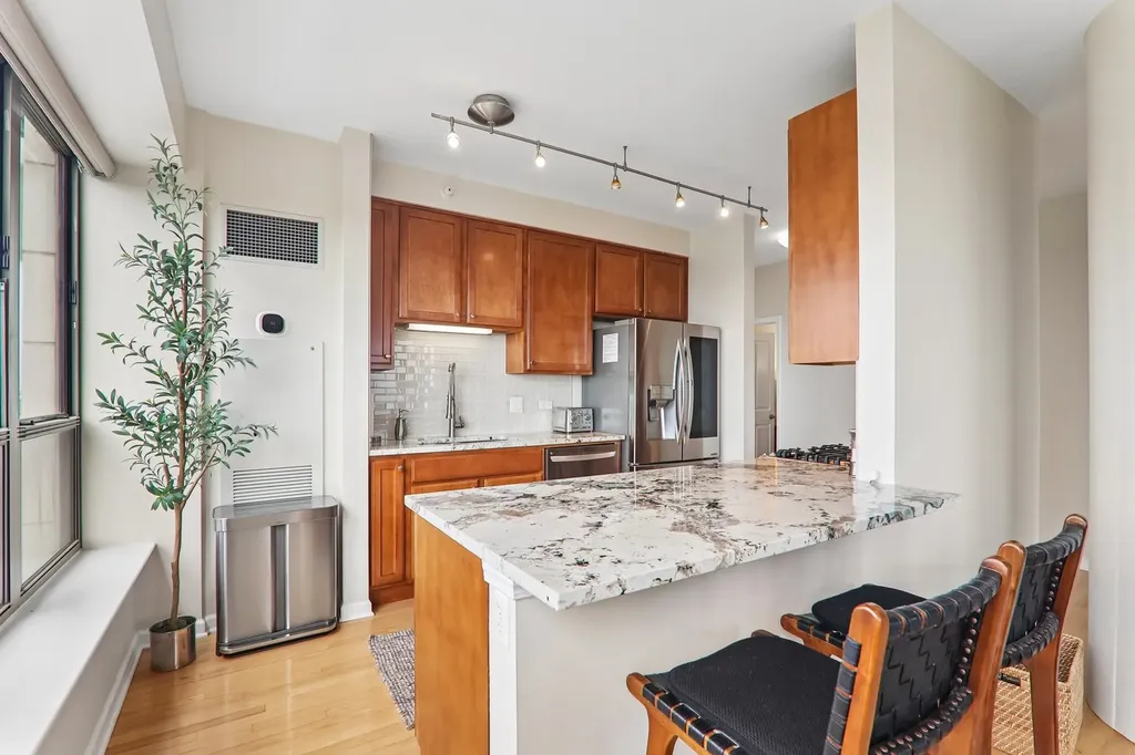 1717 South Prairie Avenue Chicago IL 60616