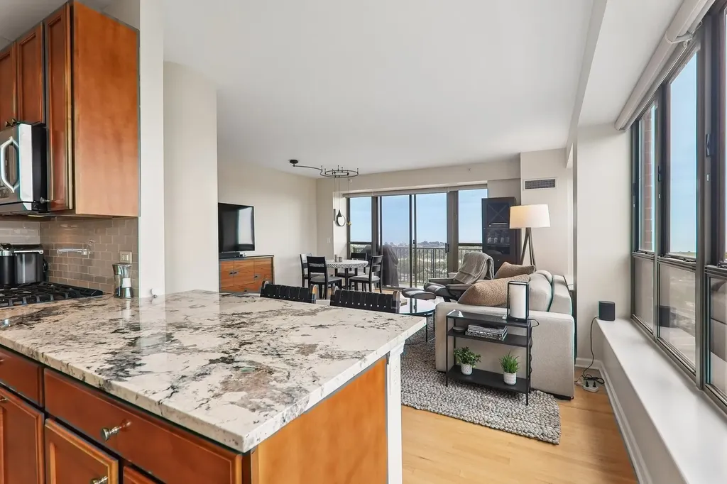 1717 South Prairie Avenue Chicago IL 60616