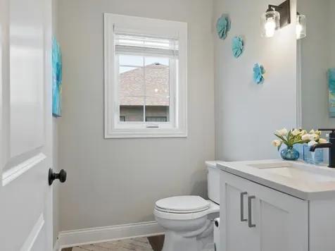 22991 Lancaster Court Frankfort IL 60423