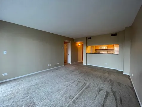 509 Aurora Avenue Naperville IL 60540