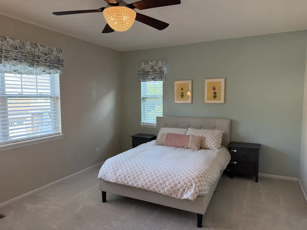 463 Timber Trail Court Naperville IL 60565