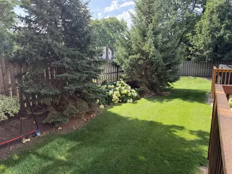 463 Timber Trail Court Naperville IL 60565