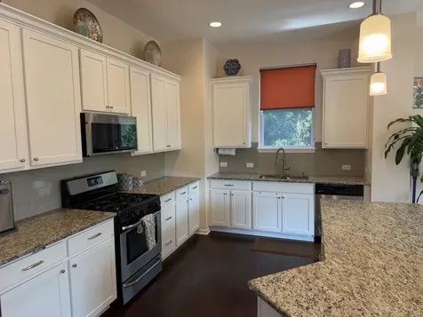463 Timber Trail Court Naperville IL 60565