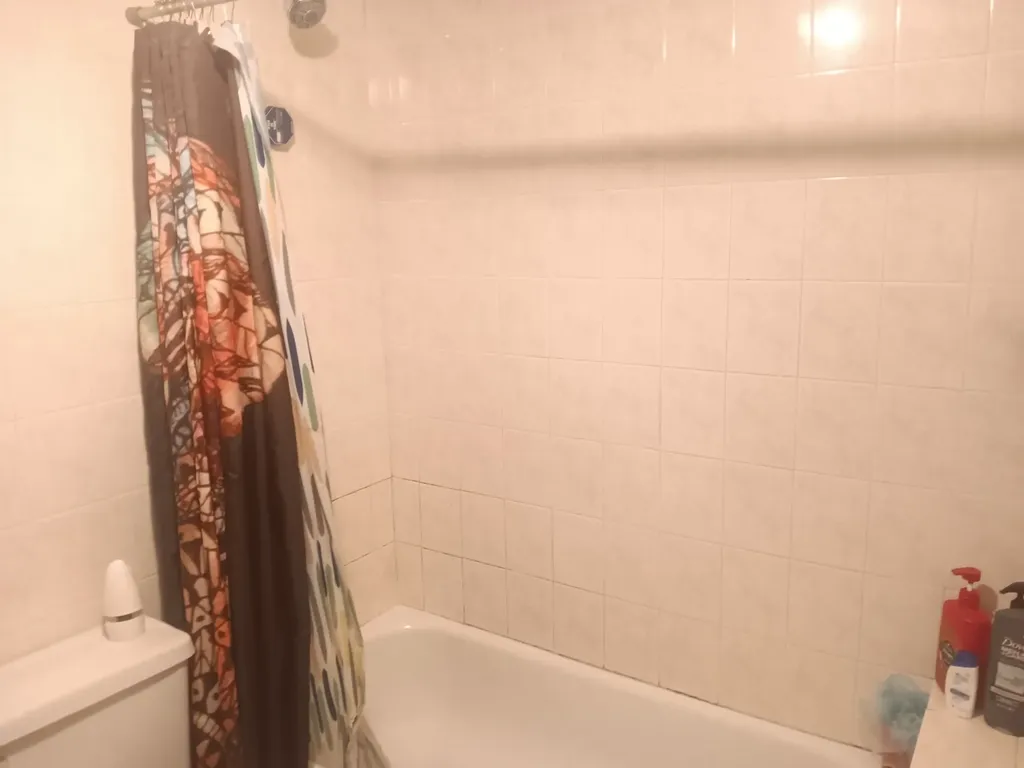1436 South Karlov Avenue Chicago IL 60623