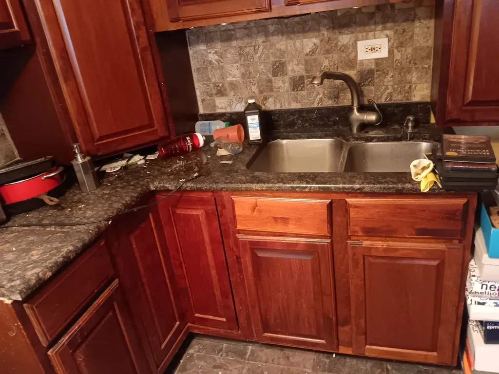 1436 South Karlov Avenue Chicago IL 60623