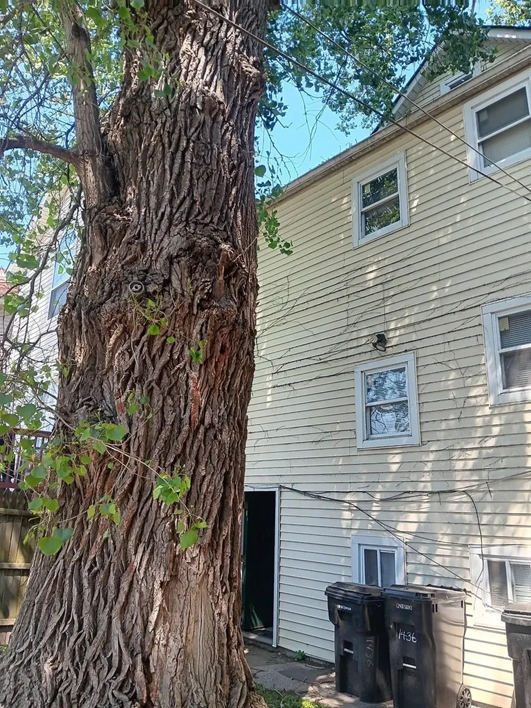 1436 South Karlov Avenue Chicago IL 60623