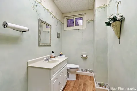 132 Center Street Grayslake IL 60030