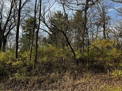 107 Maple Lane Dixon IL 61021