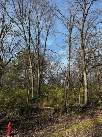 107 Maple Lane Dixon IL 61021