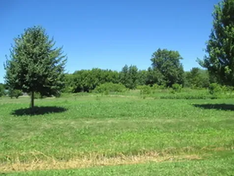 23787 West Reindeer Trail Lake Villa IL 60046
