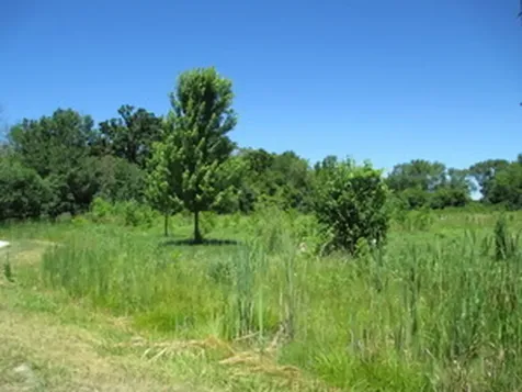 23787 West Reindeer Trail Lake Villa IL 60046