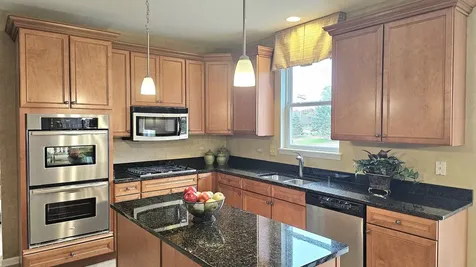 20149 Preston Lane Lynwood IL 60411