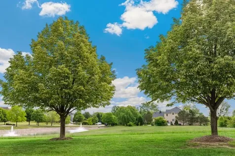 8 Falcon Lakes Drive South Barrington IL 60010