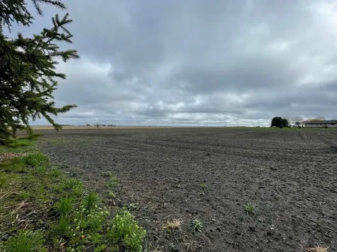 Lot 8 East Kyle Street Ogden IL 61859