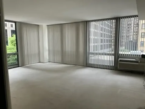 880 North Lake Shore Drive Chicago IL 60611
