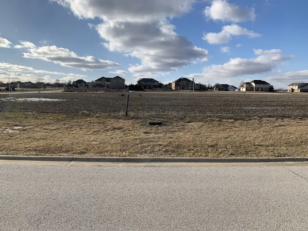 513 Diamond Drive Manteno IL 60950