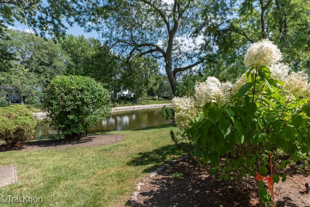 1229 West Bauer Road Naperville IL 60563