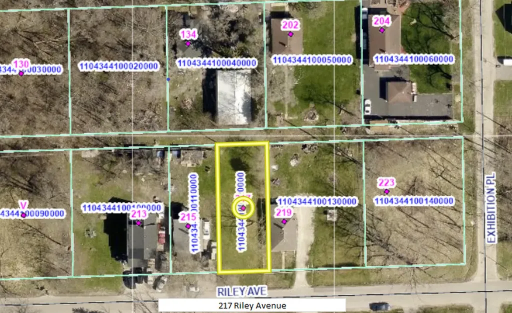 217 Riley Avenue Lockport IL 60441