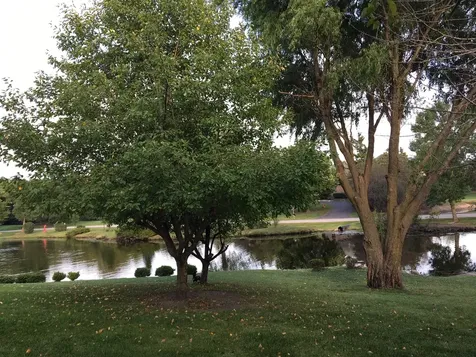 4 Windsor Court South Barrington IL 60010