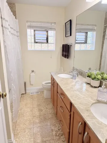 717 Oakton Street Park Ridge IL 60068