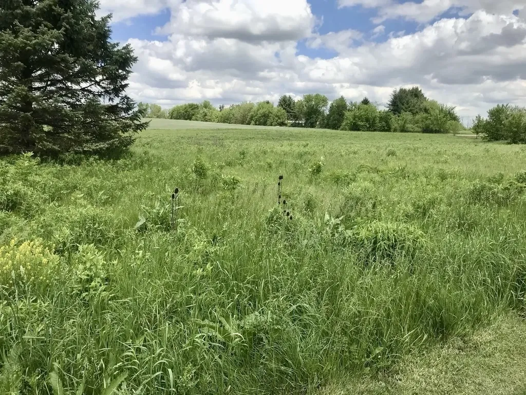 Lot 2 Ratfield Road Marengo IL 60152