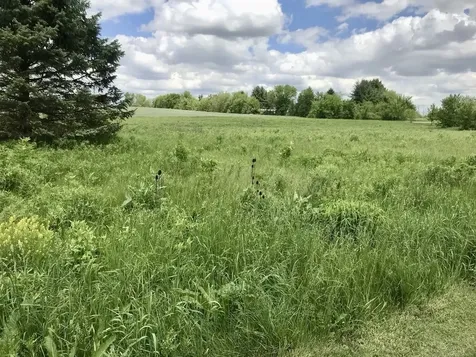 Lot 2 Ratfield Road Marengo IL 60152