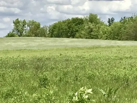 Lot 2 Ratfield Road Marengo IL 60152