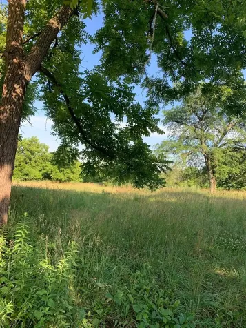 3523 Long Grove Road Long Grove IL 60047