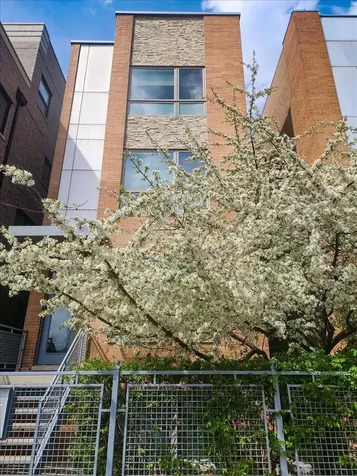 1350 West Diversey Parkway Chicago IL 60614