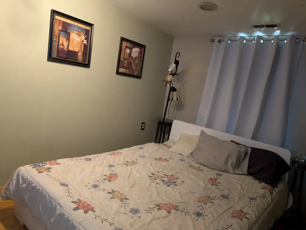 3233 South Morgan Street Chicago IL 60608