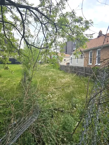 2029 West 17th Street Chicago IL 60608