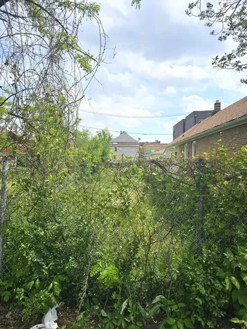 2029 West 17th Street Chicago IL 60608