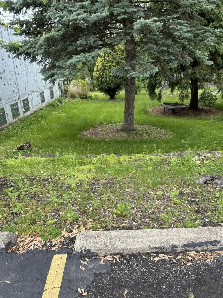 8422 Archer Avenue Willow Springs IL 60480