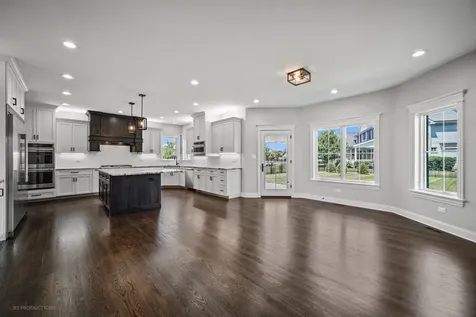 20145 Waterview Trail Frankfort IL 60423