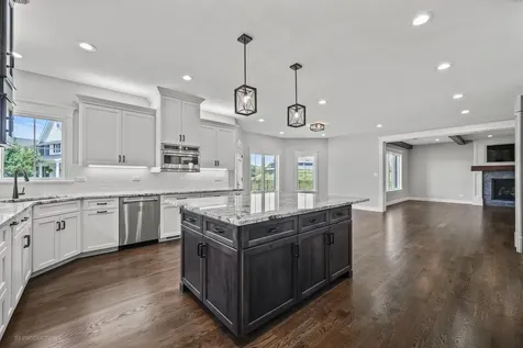 20145 Waterview Trail Frankfort IL 60423
