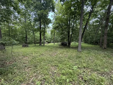 Lot 235 Lake Thunderbird Drive Tiskilwa IL 61368