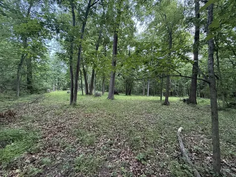 Lot 235 Lake Thunderbird Drive Tiskilwa IL 61368