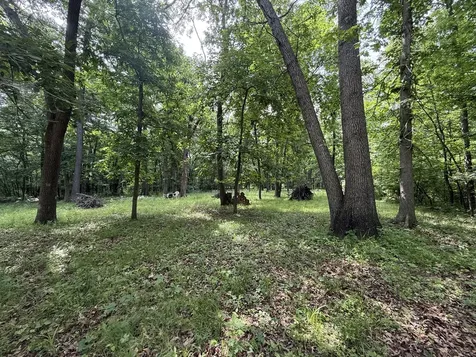 Lot 235 Lake Thunderbird Drive Tiskilwa IL 61368