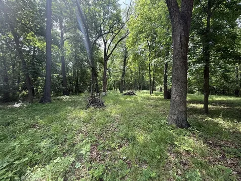 Lot 235 Lake Thunderbird Drive Tiskilwa IL 61368