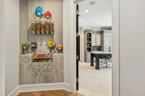 28W660 Perkins Court Naperville IL 60564