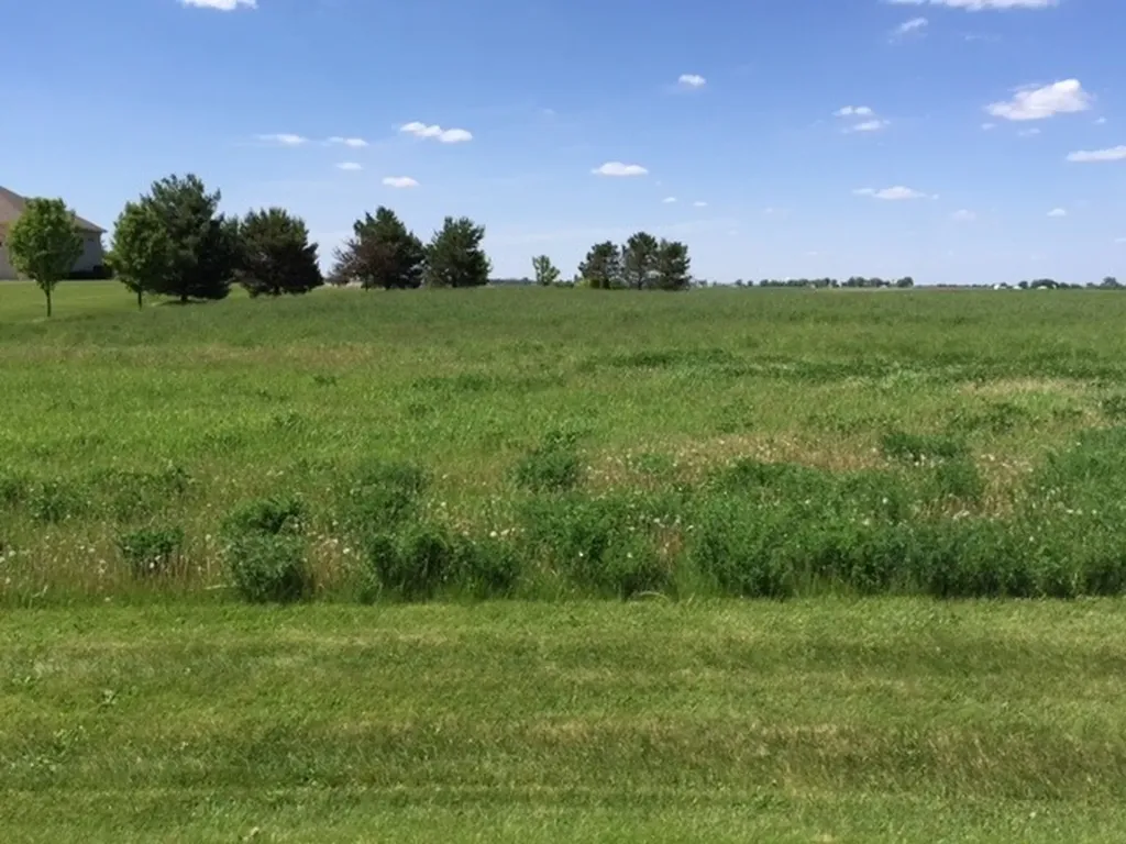 17402 Wildflower Circle Union IL 60180