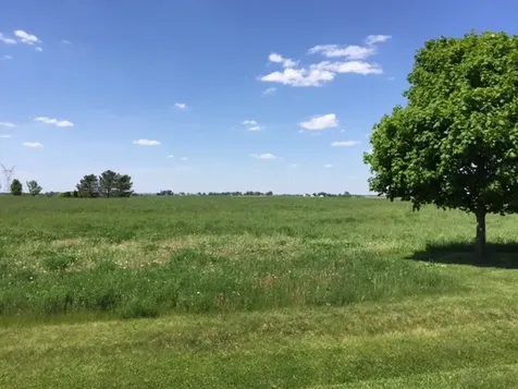 17402 Wildflower Circle Union IL 60180