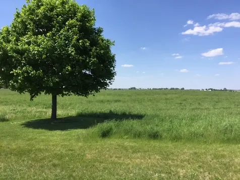 17402 Wildflower Circle Union IL 60180