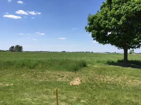 17402 Wildflower Circle Union IL 60180