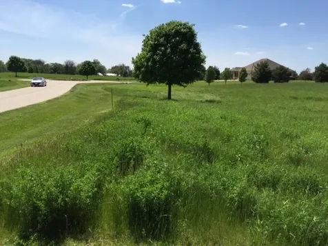 17402 Wildflower Circle Union IL 60180