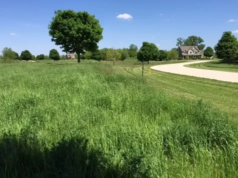 17402 Wildflower Circle Union IL 60180