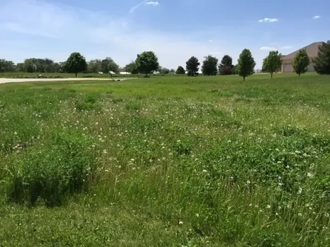 17402 Wildflower Circle Union IL 60180
