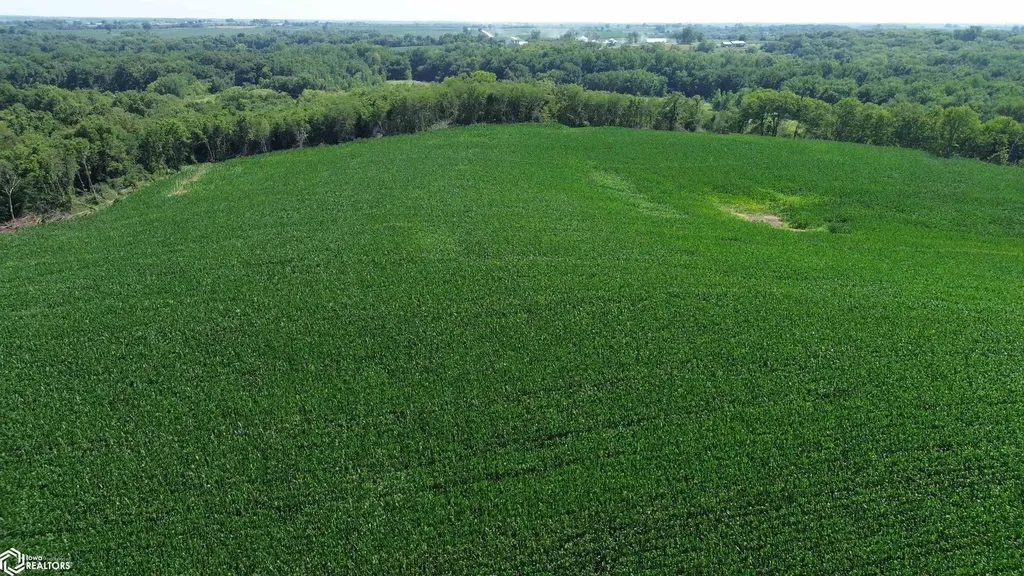 122 Acres Highway 21 Delta IA 52550