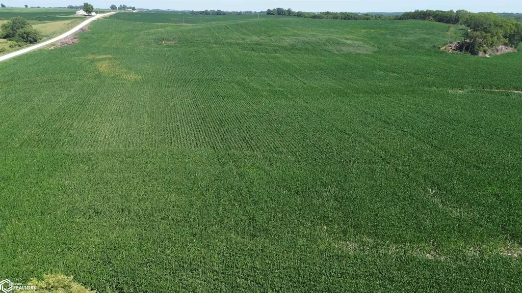 122 Acres Highway 21 Delta IA 52550