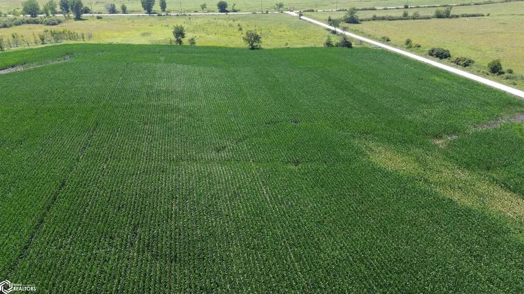 122 Acres Highway 21 Delta IA 52550